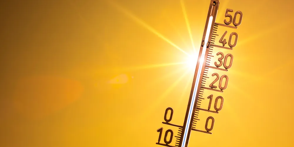 Hitte op vakantie? Zo houd je het hoofd én je auto koel bij 40 graden!